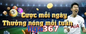 liga367